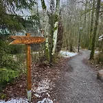 Het Hertenbos 136 - Bos- Groene Oase- Rustmoment- Zwembad Durbuy