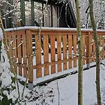 Het Hertenbos 136 - Bos- Groene Oase- Rustmoment- Zwembad