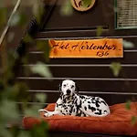 木屋 Het Hertenbos 136 - Bos- Groene Oase- Rustmoment- Zwembad *