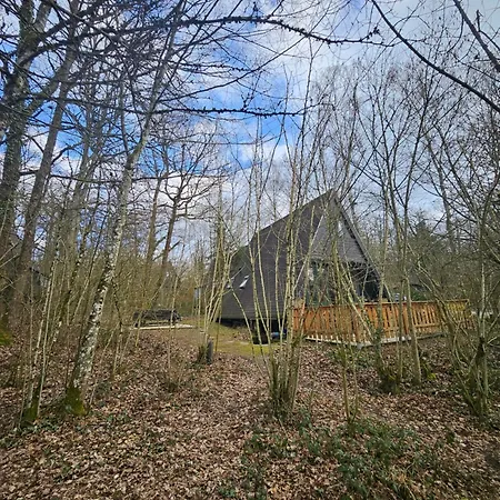 Het Hertenbos 136 - Bos- Groene Oase- Rustmoment- Zwembad