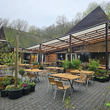 Het Hertenbos 136 - Bos- Groene Oase- Rustmoment- Zwembad * Durbuy