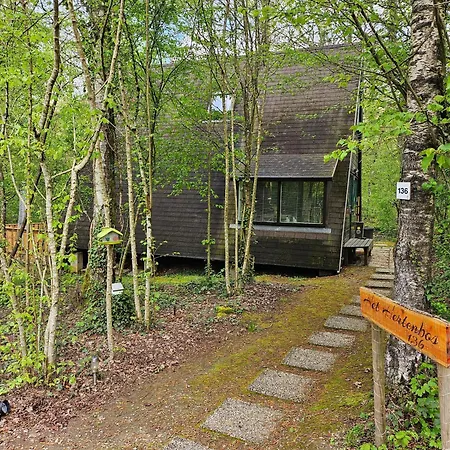 Het Hertenbos 136 - Bos- Groene Oase- Rustmoment- Zwembad Chalet