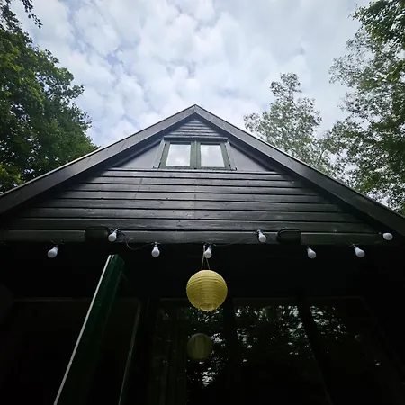 Het Hertenbos 136 - Bos- Groene Oase- Rustmoment- Zwembad