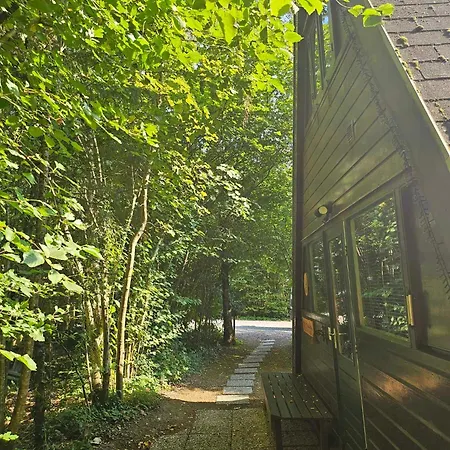 Het Hertenbos 136 - Bos- Groene Oase- Rustmoment- Zwembad *