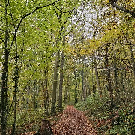 Het Hertenbos 136 - Bos- Groene Oase- Rustmoment- Zwembad Chalet Durbuy