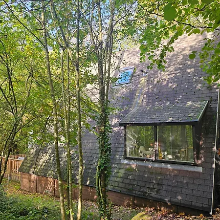 Het Hertenbos 136 - Bos- Groene Oase- Rustmoment- Zwembad Chalet