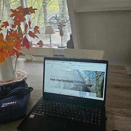 Het Hertenbos 136 - Bos- Groene Oase- Rustmoment- Zwembad Chalet Durbuy