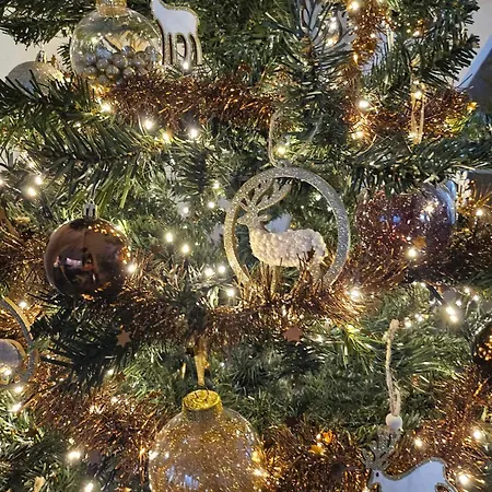 Chalet Het Hertenbos 136 - Bos- Groene Oase- Rustmoment- Zwembad *