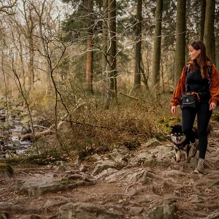 Chalet Het Hertenbos 136 - Bos- Groene Oase- Rustmoment- Zwembad *