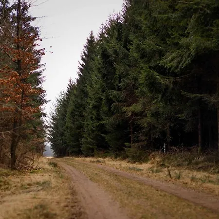 Σαλέ Het Hertenbos 136 - Bos- Groene Oase- Rustmoment- Zwembad Durbuy