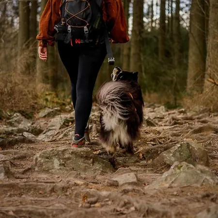 Het Hertenbos 136 - Bos- Groene Oase- Rustmoment- Zwembad Chalet