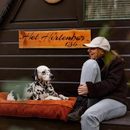 Het Hertenbos 136 - Bos- Groene Oase- Rustmoment- Zwembad Durbuy