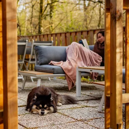 Het Hertenbos 136 - Bos- Groene Oase- Rustmoment- Zwembad Chalet *