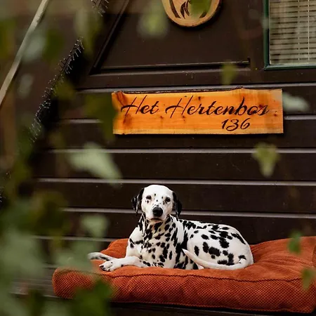 Chalet Het Hertenbos 136 - Bos- Groene Oase- Rustmoment- Zwembad *