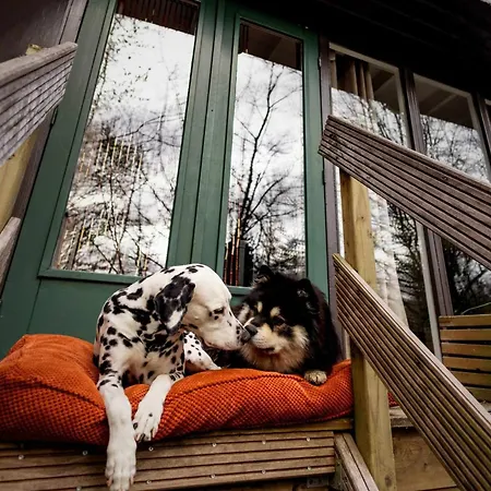 Het Hertenbos 136 - Bos- Groene Oase- Rustmoment- Zwembad