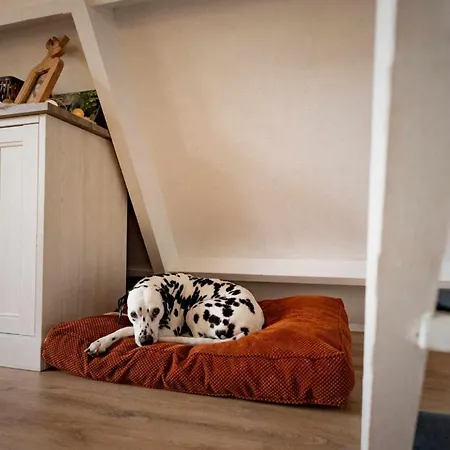 Het Hertenbos 136 - Bos- Groene Oase- Rustmoment- Zwembad * Durbuy