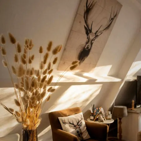 Het Hertenbos 136 - Bos- Groene Oase- Rustmoment- Zwembad Chalet