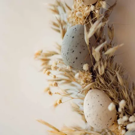 Chalet Het Hertenbos 136 - Bos- Groene Oase- Rustmoment- Zwembad