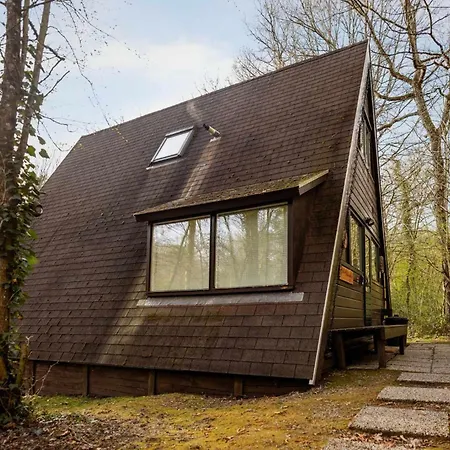 Het Hertenbos 136 - Bos- Groene Oase- Rustmoment- Zwembad Chalet