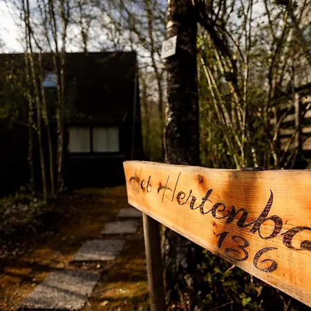 Het Hertenbos 136 - Bos- Groene Oase- Rustmoment- Zwembad