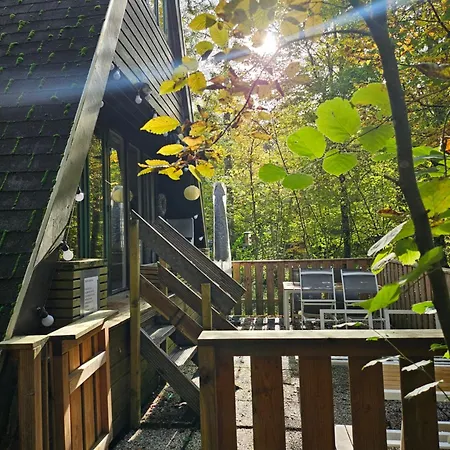 Het Hertenbos 136 - Bos- Groene Oase- Rustmoment- Zwembad Chalet *