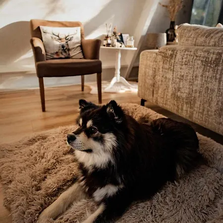 Het Hertenbos 136 - Bos- Groene Oase- Rustmoment- Zwembad Chalet Durbuy